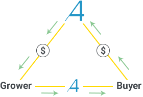 market