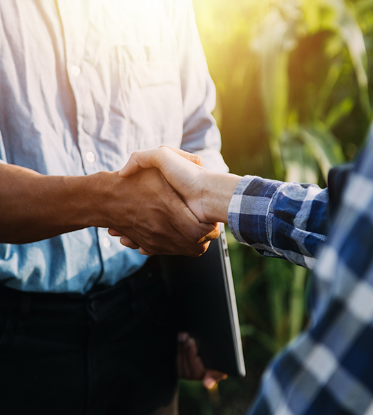 Finanțare pentru cumpărătorii de produse agricole