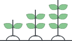 crops